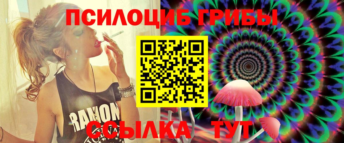 Галлюциногенные грибы Cubensis Саяногорск