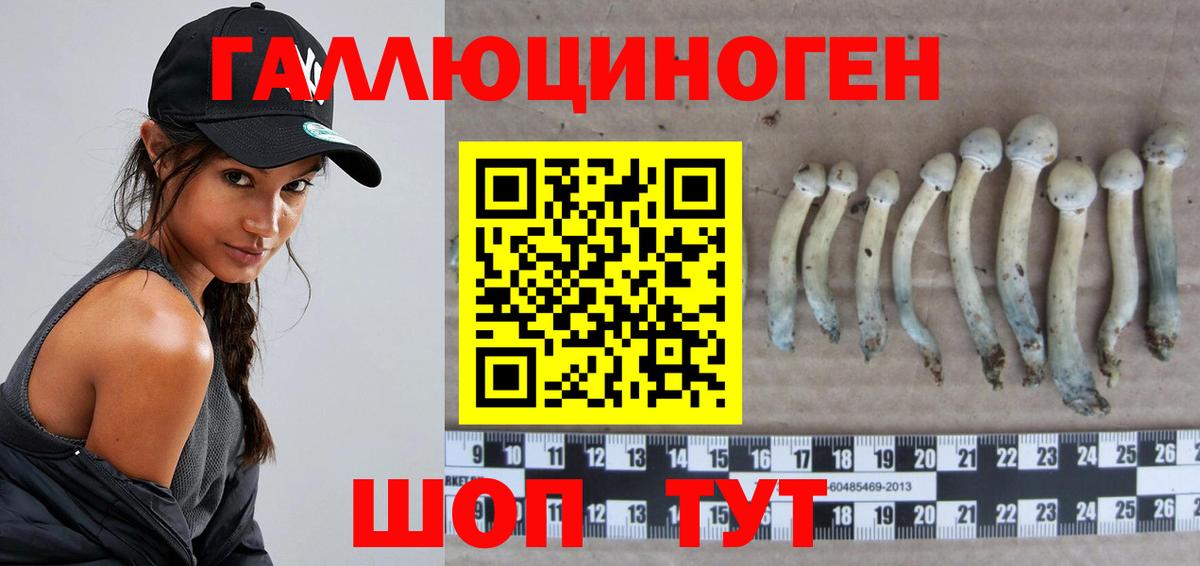 Псилоцибиновые грибы мицелий  Вход с VPN  Псилоцибиновые грибы Psilocybe  Саяногорск 